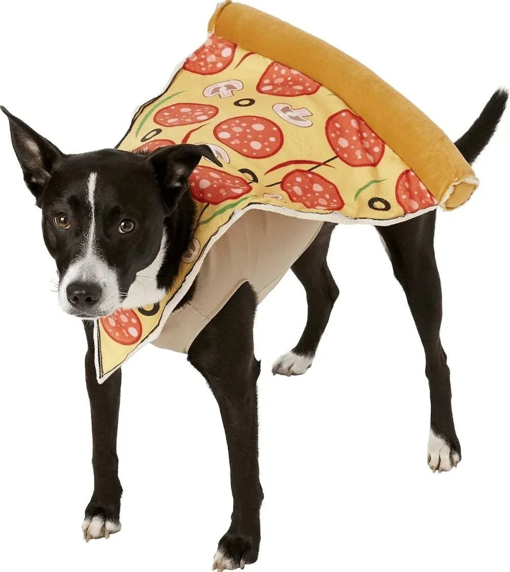 Black and white dog wearing pepperoni pizza slice costume