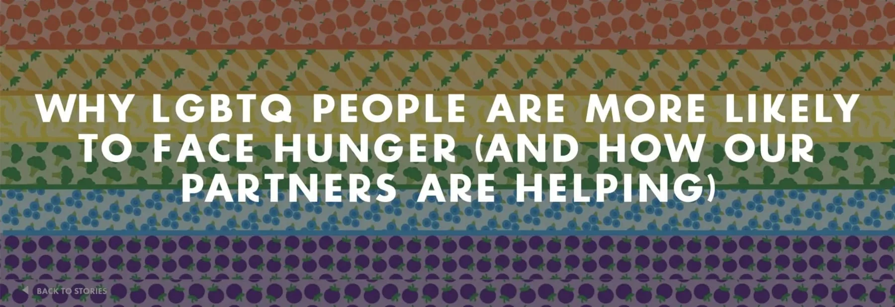 Banner reading ’Why LGBTQ people are more likely to face hunger (and how our partners are helping)’