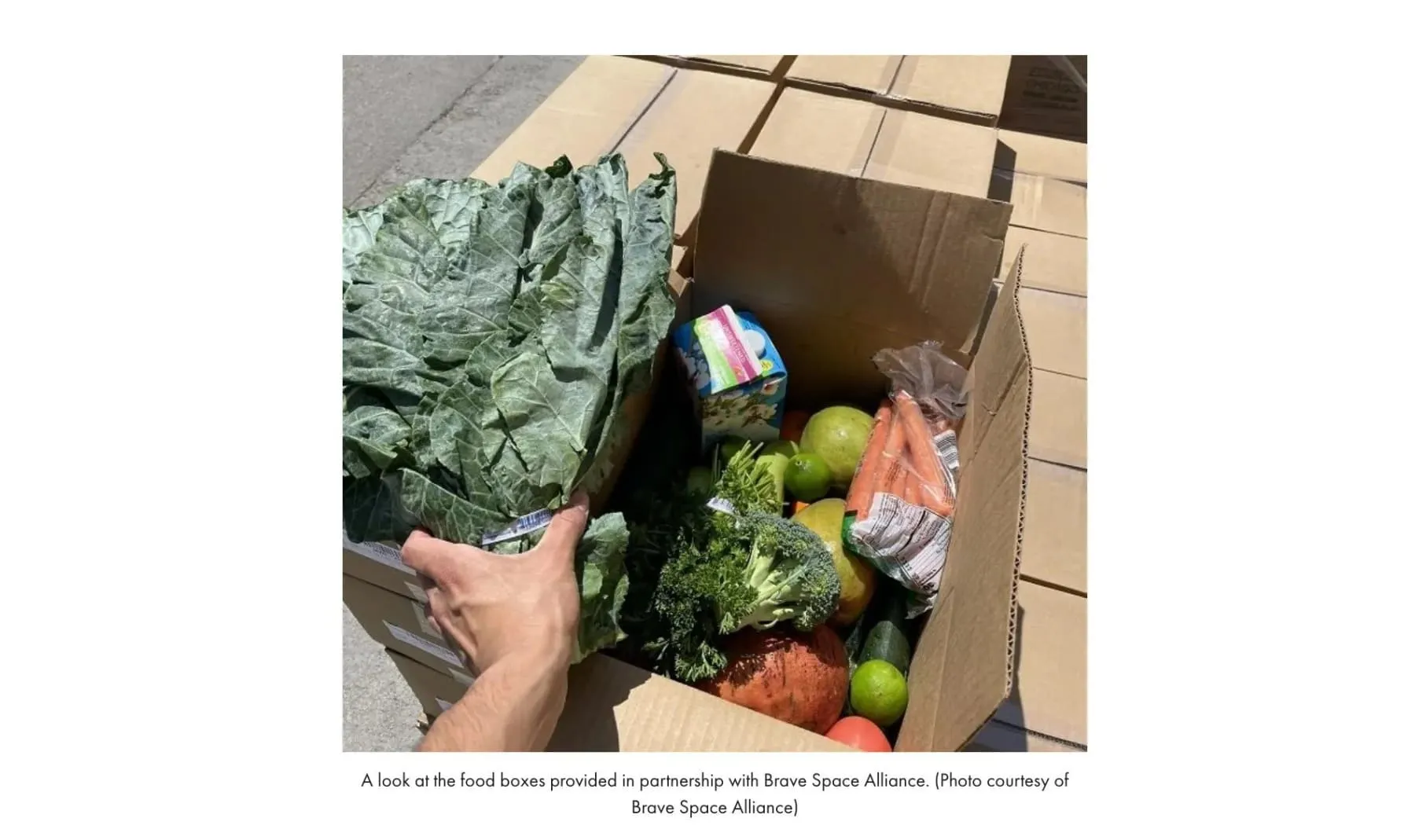Photo of a produce box filled with kale, broccoli, carrots and citrus, provided in partnership with Brave Space Alliance